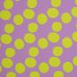 Preview: Outdoorstoff (wasserdicht) Colourful Collection, Punkte in Flieder/Limette, als Warenausschnitt